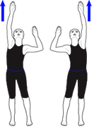 1363